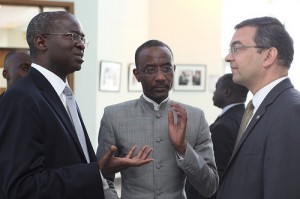 fashola and sanusi